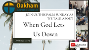 Palm Sunday - When God lets us down