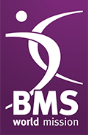 BMS update (France)